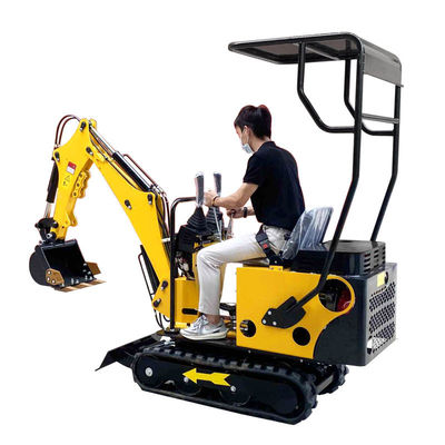 Mini Diesel Excavator économiseur d'énergie 800kg 12hp avec le dispositif de couverture adapté aux besoins du client